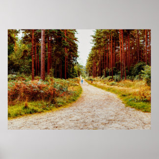 Spaziergang im Wald in der Natur Poster