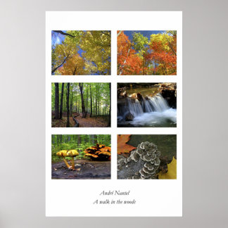 Spaziergang im Wald, Plakat