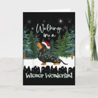 Spaziergang in einem Wiener Wunderland Dachshund