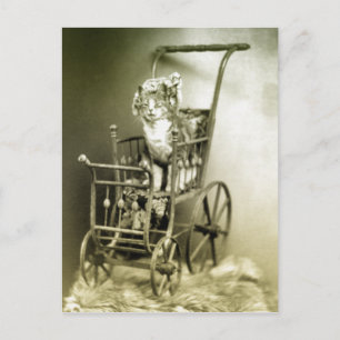 Spaziergang mit der Stadt Postkarte