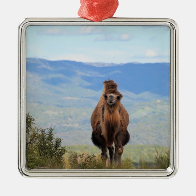 Spaziergang mit Muffin Keramik Ornament (Vorne)