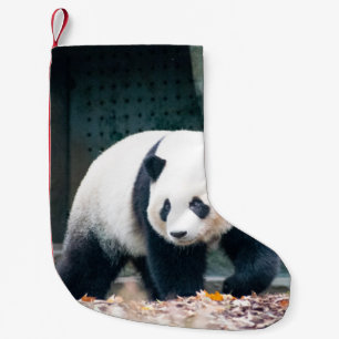 SPAZIERGANG VOR KONKRETEM GEBÄUDE KLEINER WEIHNACHTSSTRUMPF