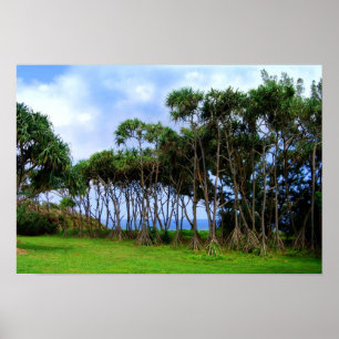 Spaziergänge zu Palmen in Hawaii Poster