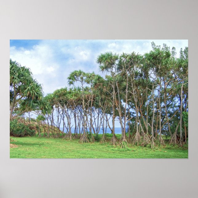 Spaziergänge zu Palmen in Hawaii Poster (Vorne)