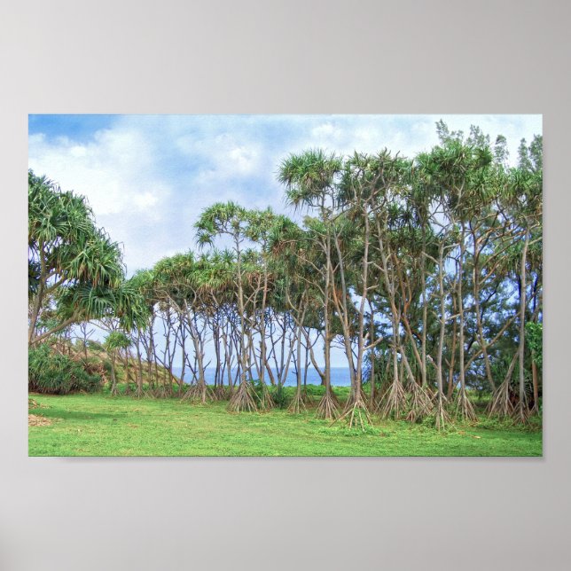 Spaziergänge zu Palmen in Hawaii Poster (Vorne)