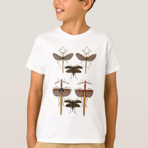 Spazierstöcke, Katydids und Libellen T-Shirt