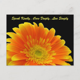 Speak Kindly Gerbera Postcard Postkarte