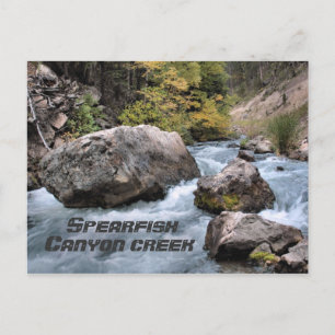 Spearfish Canyon Creek Postkarte