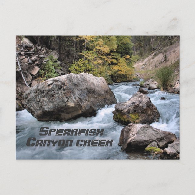 Spearfish Canyon Creek Postkarte (Vorderseite)