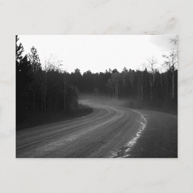 Spearfish Canyon Hail Fog Nach Sturm Postkarte (Vorderseite)