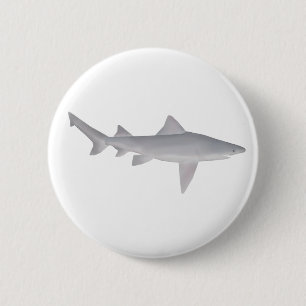 Spearzahnhai Button