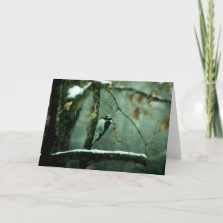 Specht in der Schnee-Gruß-Karte Karte