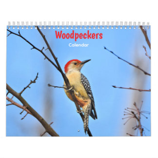 Spechte Kalender