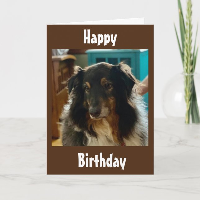 SPECIAL BIRTHDAY WISHES FROM A SPECIAL PUPPY KARTE (Vorderseite)