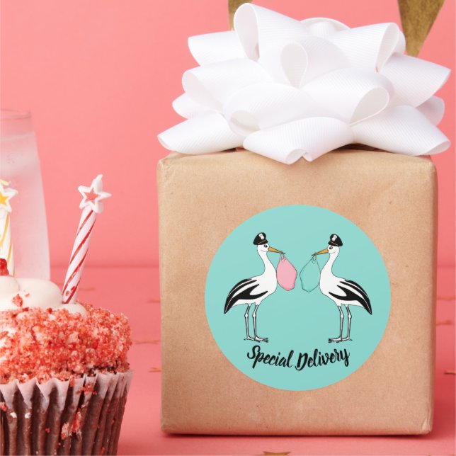 Special Delivery Stork Baby Reveal Sprinkle Party Runder Aufkleber (Party)