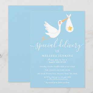 Special Delivery Stork Star Baby Shower Sprinkle Einladung
