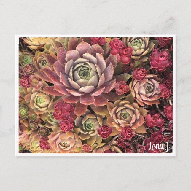 Special Edition Lena J Postcard Postkarte (Vorderseite)