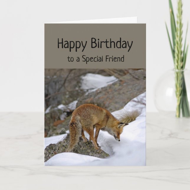 Special Friend Wonderful Birthday Fox Tier Karte (Vorderseite)