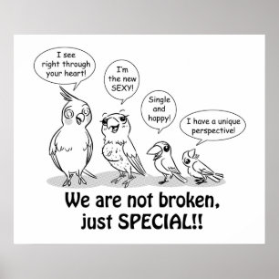 Special Need Birds Poster