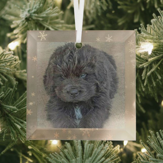 Special Order Carol B Gray Puppy Glass Ornament (Insitu)