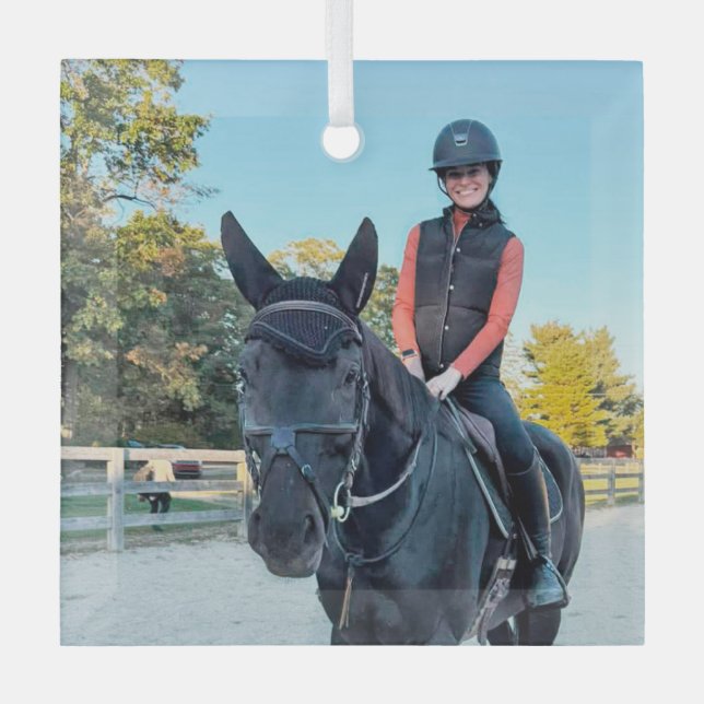 Special Order Horse Glass ornament (Vorderseite)