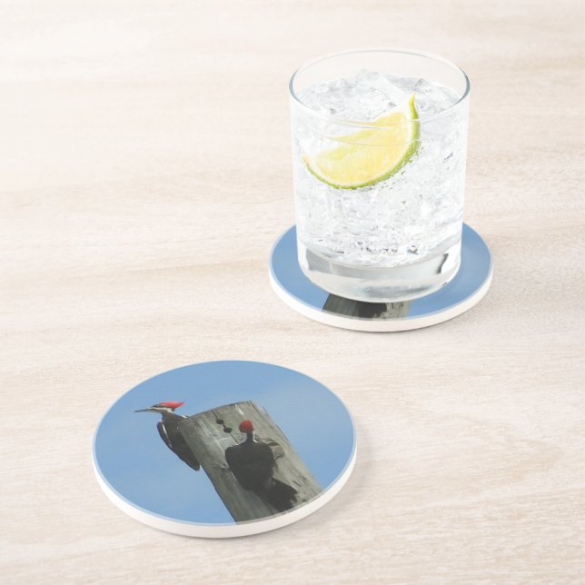 Specker am Pol Untersetzer (Seite)