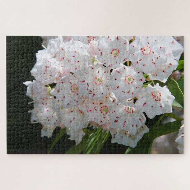 Specklatschas Puzzle (Horizontal)