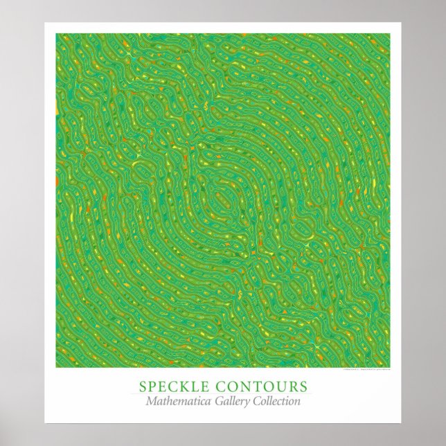Speckle Contours Poster (Vorne)