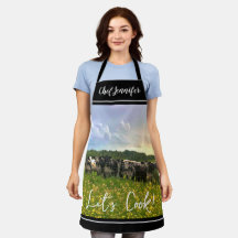 Speckle Park Rinder unter Regendusche, Sonnenunter