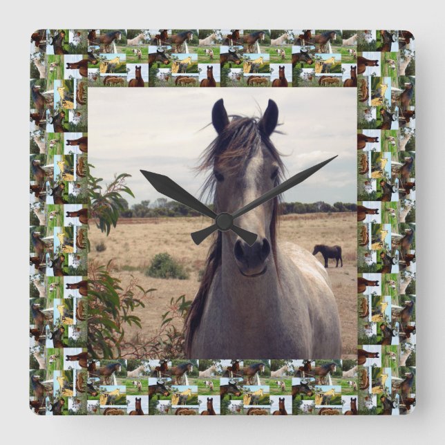 Speckled Arab Horse in Horses Foto Frame, Quadratische Wanduhr (Vorderseite)