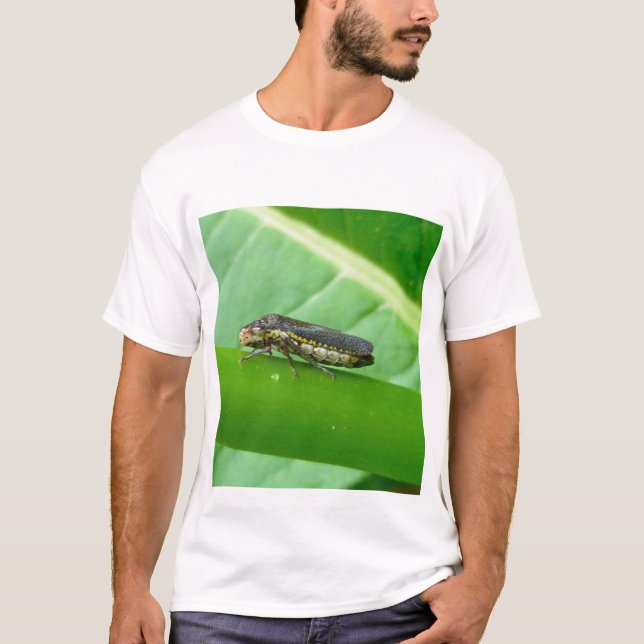 Speckled Sharpshooter Leaf Hopper Items T-Shirt (Vorderseite)