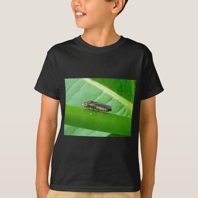 Speckled Sharpshooter Leaf Hopper Items T-Shirt (Vorderseite)