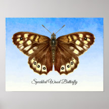 Speckled Wood Butterfly Aquarellmalerei Poster