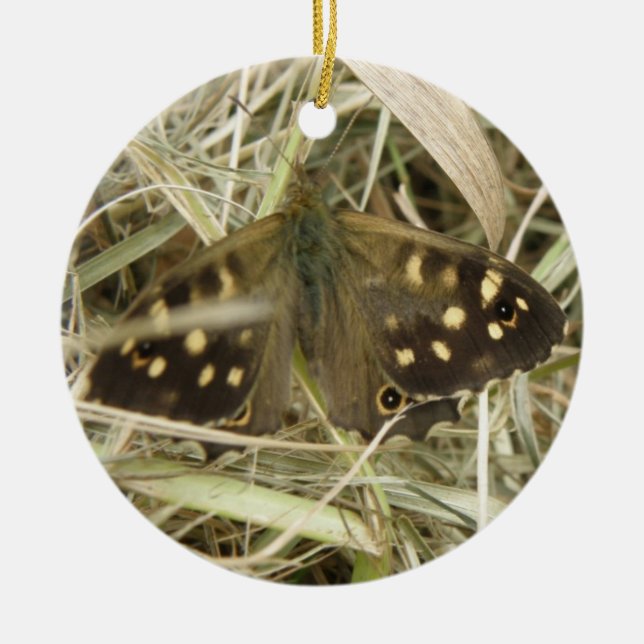 Speckled Wood Butterfly Ornament (Vorne)
