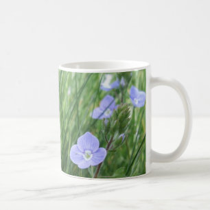 Speedwell Blume Tasse