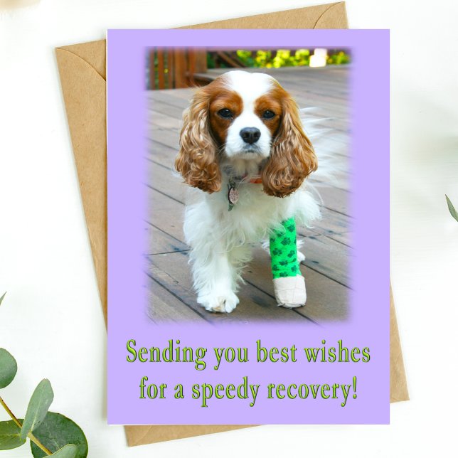 Speedy Erholung bekommt gut Spaniel Card Karte (Send speedy recovery healing vibes with this adorable dog card. )