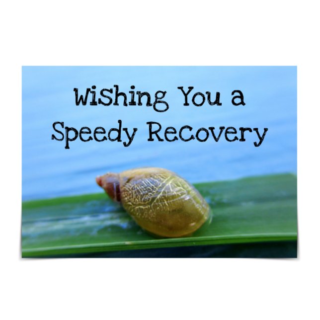 "Speedy Recovery" Get Better Soon Snail Karte (Von Creator hochgeladen)