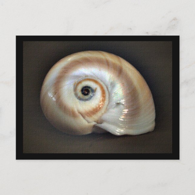 Speicherkarte für den Strand Postkarte (Vorderseite)