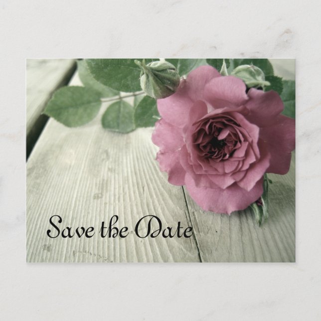 Speichern Sie das Datum Pink Rose Postkarte (Vorderseite)
