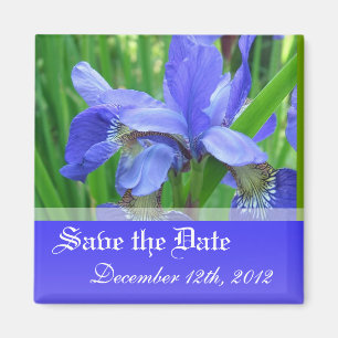 Speichert das Datum, blaue Frühlings-Irisblumen. Magnet