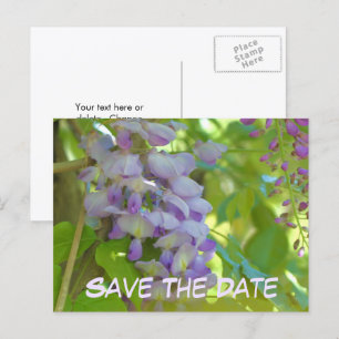 Speichert das Datum Wisteria-Blüte Ankündigungspostkarte