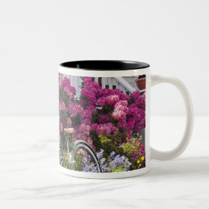 Spekatkuläre Frühlingsblüte, skurrile Antiquität Zweifarbige Tasse