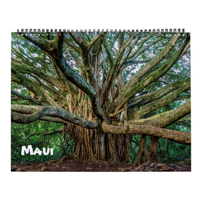 Spektakuläre Maui Kalender (Titelbild)