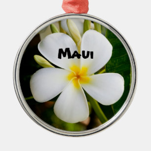 Spektakuläre Maui Ornament Aus Metall