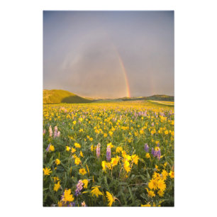 Spektakuläre Wildblume Wiese bei Sonnenaufgang in Fotodruck