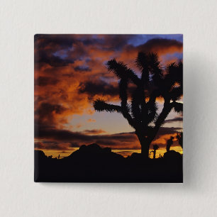 Spektakulärer Sonnenaufgang auf Joshua Tree Natio Button