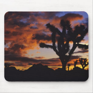Spektakulärer Sonnenaufgang auf Joshua Tree Natio Mousepad