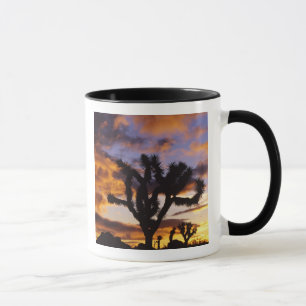 Spektakulärer Sonnenaufgang im Joshua-Tree-Nation Tasse