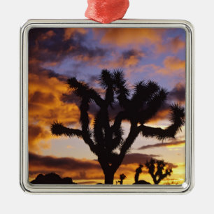 Spektakulärer Sonnenaufgang im Joshua-Tree-Nationa Silbernes Ornament