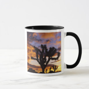 Spektakulärer Sonnenaufgang im Joshua-Tree-Nationa Tasse